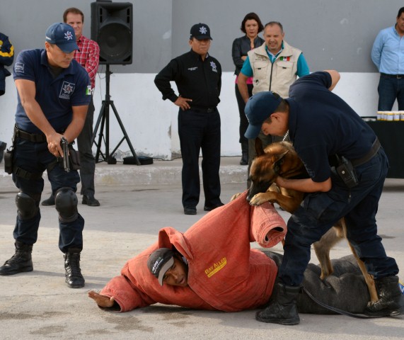 escuadron canino 
