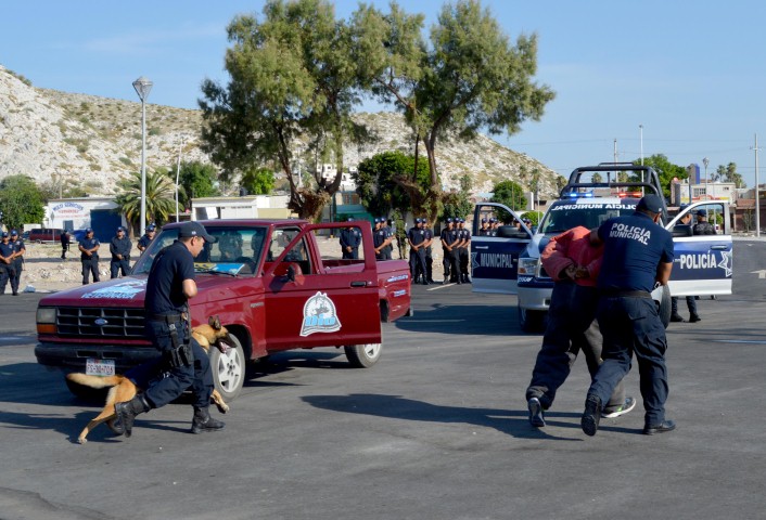escuadron canino 