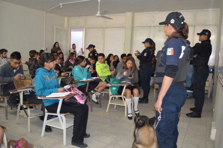 escuadron canino 