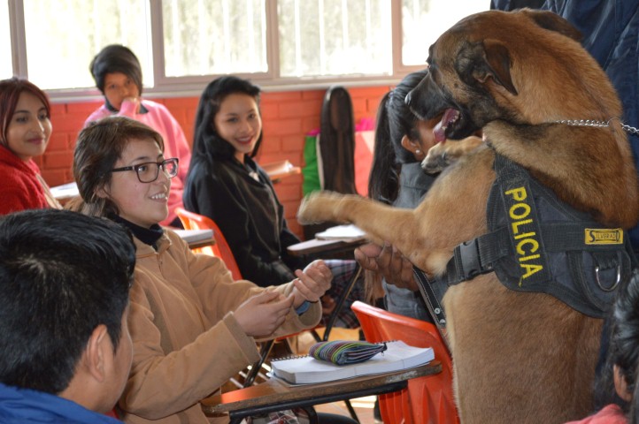 escuadron canino 