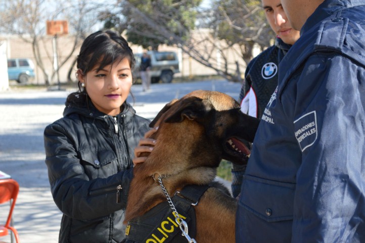 escuadron canino 