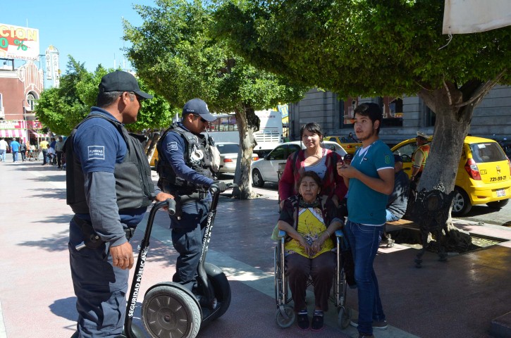 escuadron canino 